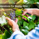 Considerations For Buying Wine