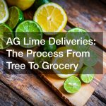 AG Lime Deliveries  The Process From Tree To Grocery
