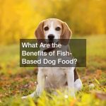 What Are the Benefits of Fish-Based Dog Food?